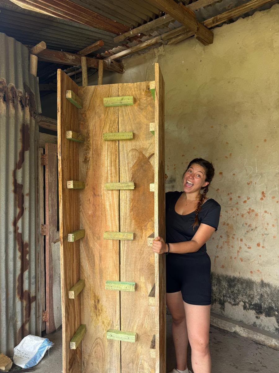 Voluntariado en construcción